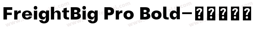 FreightBig Pro Bold字体转换